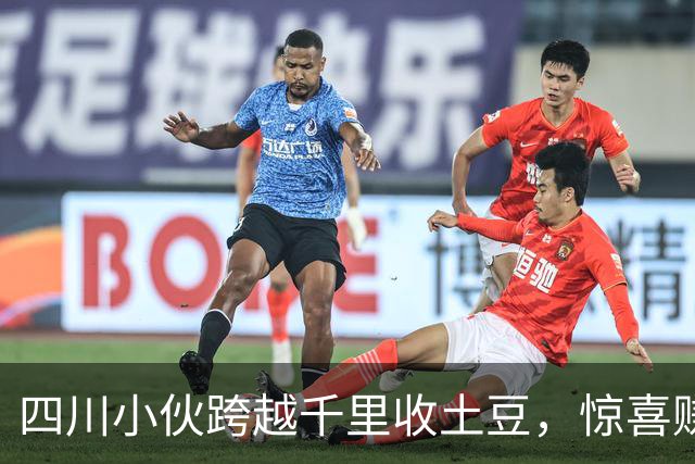 四川小伙跨越千里收土豆，惊喜赚了个盘满钵满！