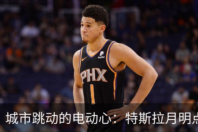 城市跳动的电动心：特斯拉月明点亮哪些人？